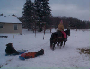 dee-trixie-jake-sledding12-2-07.jpg