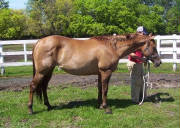 sveta2005.jpg