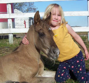 tawnya2005filly.jpg