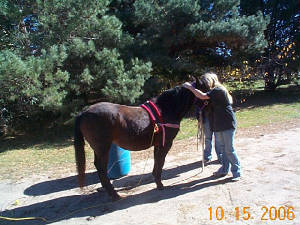 trixie-drew-thehug10-15-06.jpg