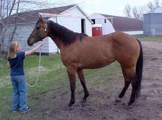 chino2005.jpg