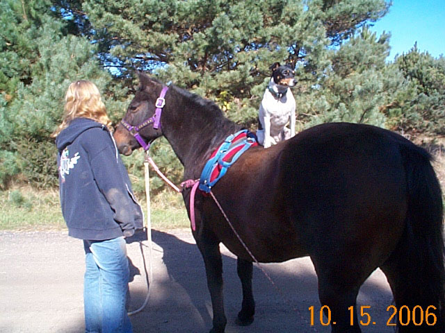 meghan-trixie-dog--10-15-06.jpg