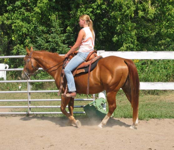 duallyriding.jpg